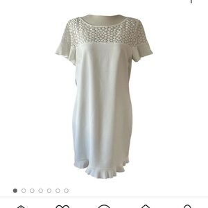 Karl Lagerfeld Paris Dress‎ Women’s Size 8 Above the Knee Length Flutter Sleeve